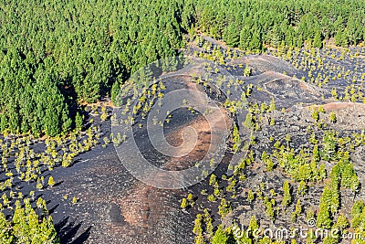 Black volcano fields. Chinyero, Tenerife island. Stock Photo