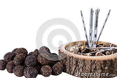 Black walnuts Stock Photo