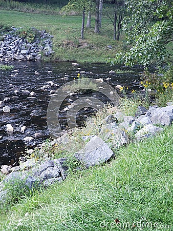 Black water rock trees Stock Photo