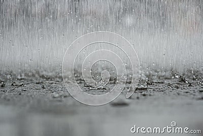 Black white abstract background raindrop on the ground. Stock Photo