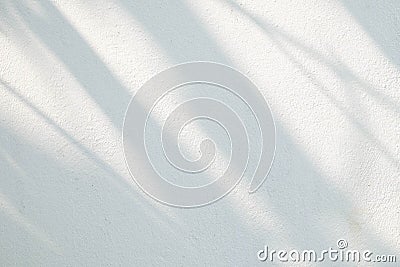 Black and White abstract background textuer of shadows leaf on a concrete wall. Stock Photo