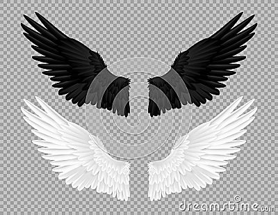 Black and white angel wings. Swans and crows feather, bird carnival costume. Parts of feathered animal on transparent Vector Illustration