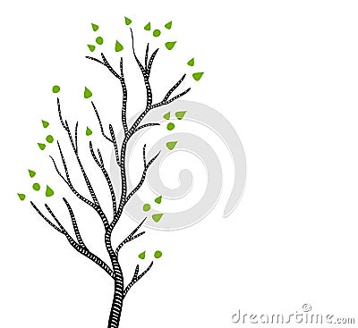 Black and white aspen or birch tree in spring with green leaves, vector Vector Illustration