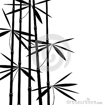 Black and white bamboo Vector Illustration