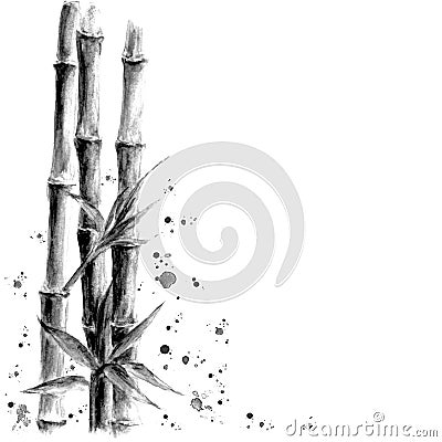 Black and white bamboo on white background Cartoon Illustration