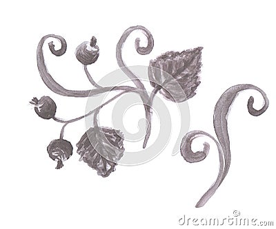 Black and white botanical elements, branch with berries and leaves, fresh sprouts. Cartoon Illustration