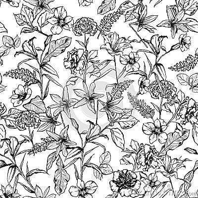 Black and white botanical flowers in the garden hand drawn by pe Stock Photo