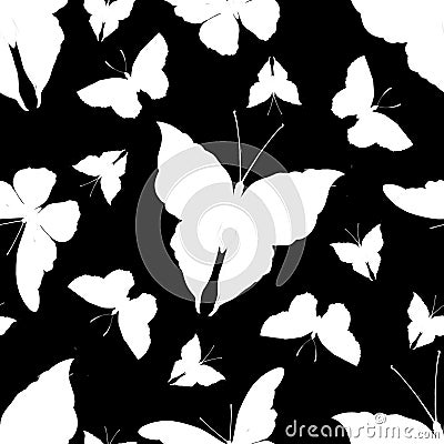 Black and white butterfly seamless pattern. Tropical, jungle and forest colorful insects in hand drawn digital style Stock Photo