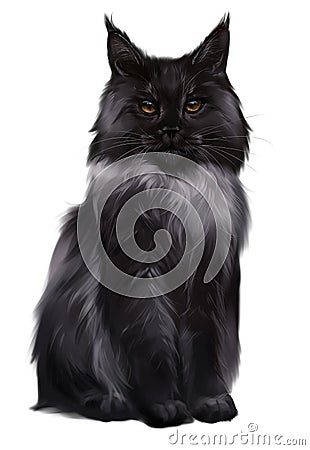 Black and white cat Maine Coon. Watercolor drawing Cartoon Illustration