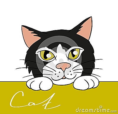 Black and white cat peeping Vector Illustration