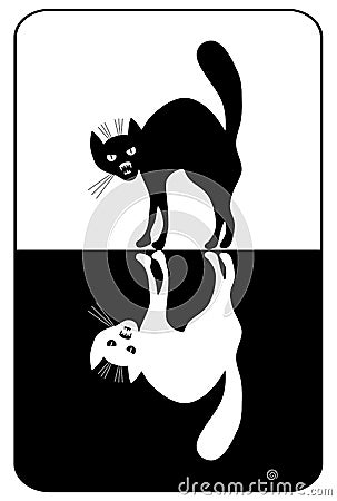 Black and white cats. Vector Illustration