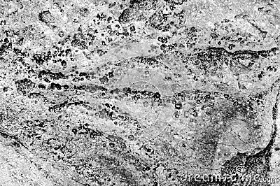 Black and White Close colorful texture of sea stone texture Stock Photo