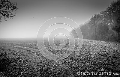 Black and white coountryside scene of fields in the mist Stock Photo