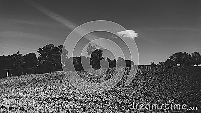 Black & White Country Trees & Fields Landscape Stock Photo