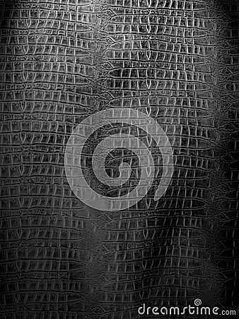 Black and white crocodile leather Stock Photo