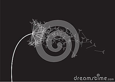 Black and white dandelion Vector Illustration