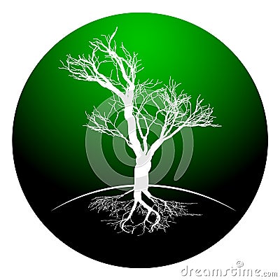 Black and white drawing of deciduous tree. Black silhouette on a white background. Vector Illustration