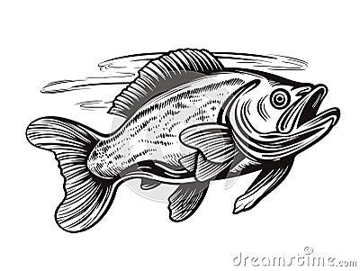 A Black And White Drawing Of A Fish - Walleye fish sign on white background Vector Illustration