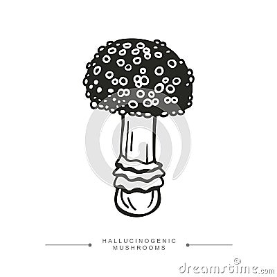Black and white drawing of a hallucinogenic mushroom. A stylized image of a psilocybin mushroom. Vector illustration Vector Illustration