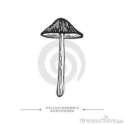 Black and white drawing of a hallucinogenic mushroom. A stylized image of a psilocybin mushroom. Vector illustration Vector Illustration