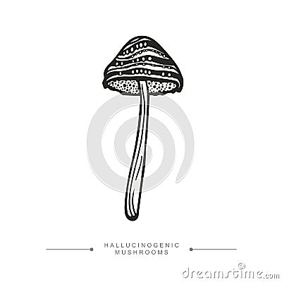 Black and white drawing of a hallucinogenic mushroom. A stylized image of a psilocybin mushroom. Vector illustration Vector Illustration