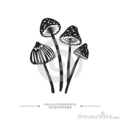 Black and white drawing of psilocybin mushrooms. A group of toxic magical hallucinogenic mushrooms. Vector illustration Vector Illustration