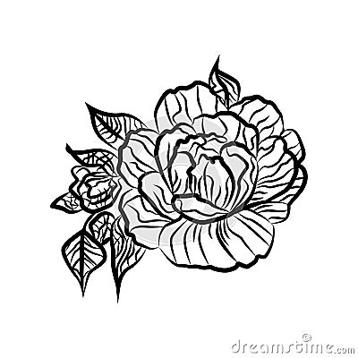 Black and white drawing of a rose tattoo. Silhouette of branch with flowers of roses and leaves Vector Illustration