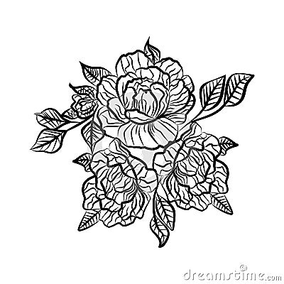 Black and white drawing of a rose tattoo. Silhouette of branch with flowers of roses and leaves. Rose is a symbol Vector Illustration