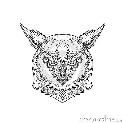Head of Angry Great Horned Owl Tiger Owl or Hoot Owl Front Black and White Drawing Vector Illustration