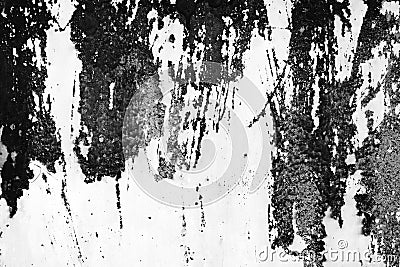 Black and white dust and Scratched Textured Backgrounds with spa Stock Photo