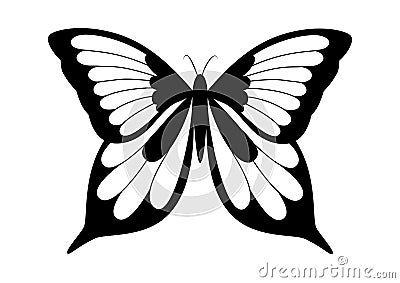 Black and white elegant butterfly Vector Illustration