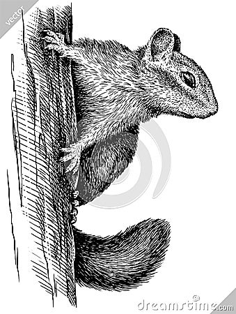 Black and white engrave isolated chipmunk vector illustration Vector Illustration