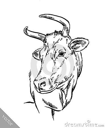 Black and white engrave isolated cow Vector Illustration