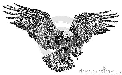 Black and white engrave isolated eagle illustration Stock Photo