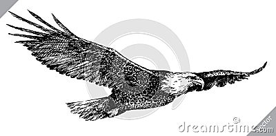 Black and white engrave isolated eagle vector illustration Vector Illustration