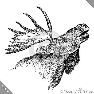 Black and white engrave isolated elk hand draw vector illustration Vector Illustration