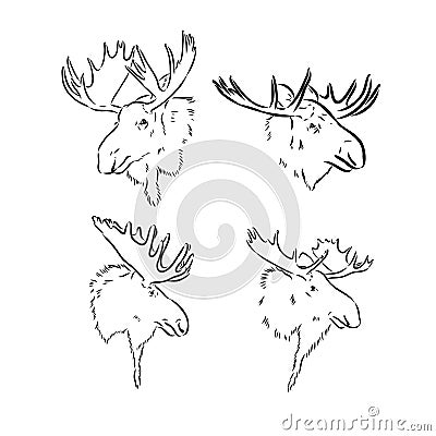 black and white engrave isolated elk hand draw vector illustration Vector Illustration