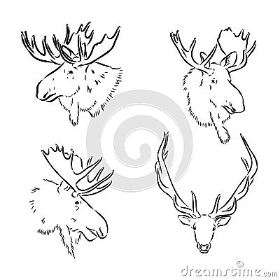 black and white engrave isolated elk hand draw vector illustration Vector Illustration