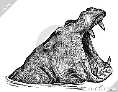 Black and white engrave isolated hippo vector illustration Vector Illustration