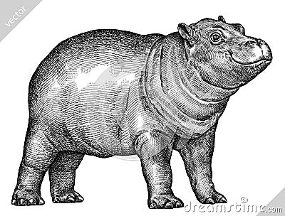 Black and white engrave isolated hippo vector illustration Vector Illustration