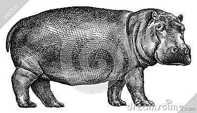 Black and white engrave isolated hippo vector illustration Vector Illustration