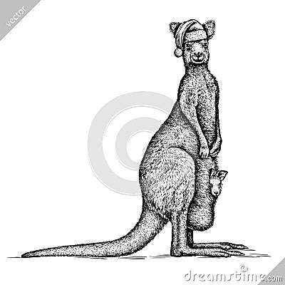 Black and white engrave isolated kangaroo vector illustration Vector Illustration