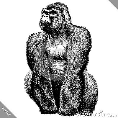 Black and white engrave isolated monkey vector illustration Vector Illustration