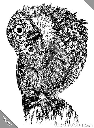 Black and white engrave isolated owl vector illustration Vector Illustration