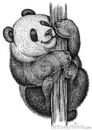 Black and white engrave isolated panda illustration Stock Photo