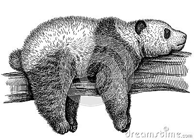 Black and white engrave isolated panda illustration Stock Photo