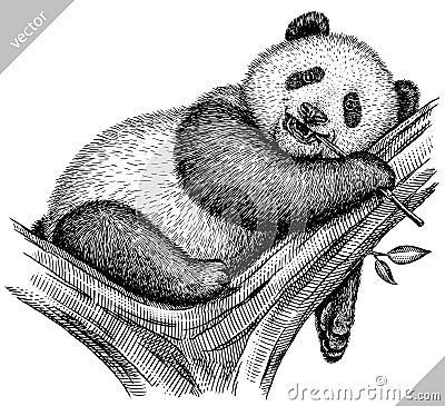 Black and white engrave isolated panda vector illustration Vector Illustration