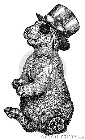 Black and white engrave isolated rabbit illustration Stock Photo