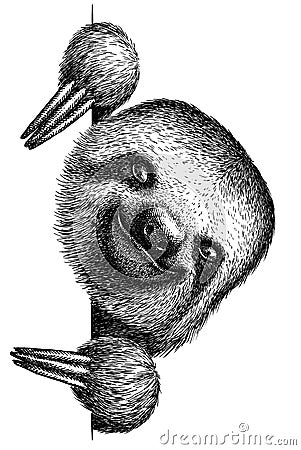 Black and white engrave isolated sloth illustration Stock Photo