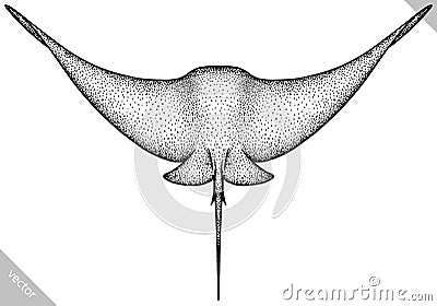 black and white engrave isolated stingray vector illustration Vector Illustration